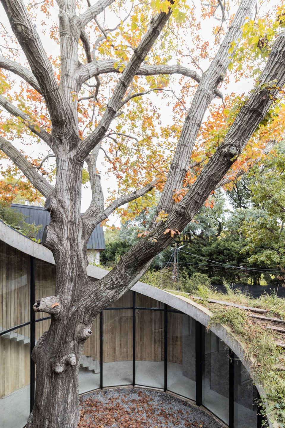 LuMa 住宅丨阿根廷布宜诺斯艾利斯丨AtelierM-12