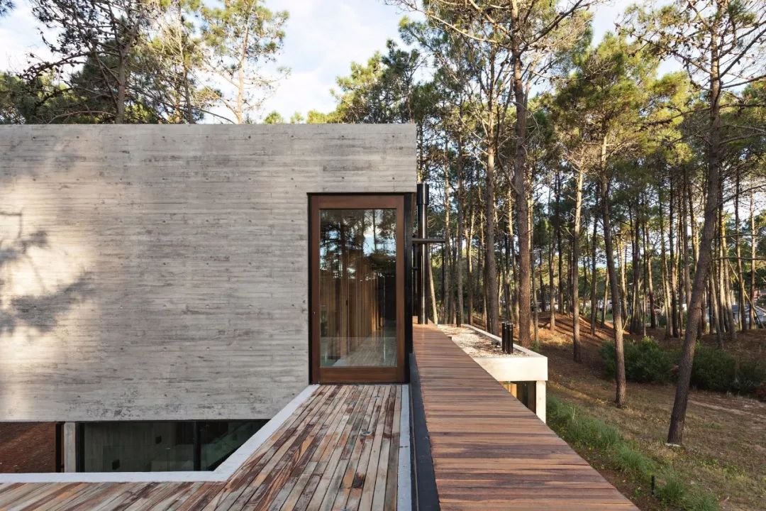 ATV Arquitectos 的光影建筑艺术-58