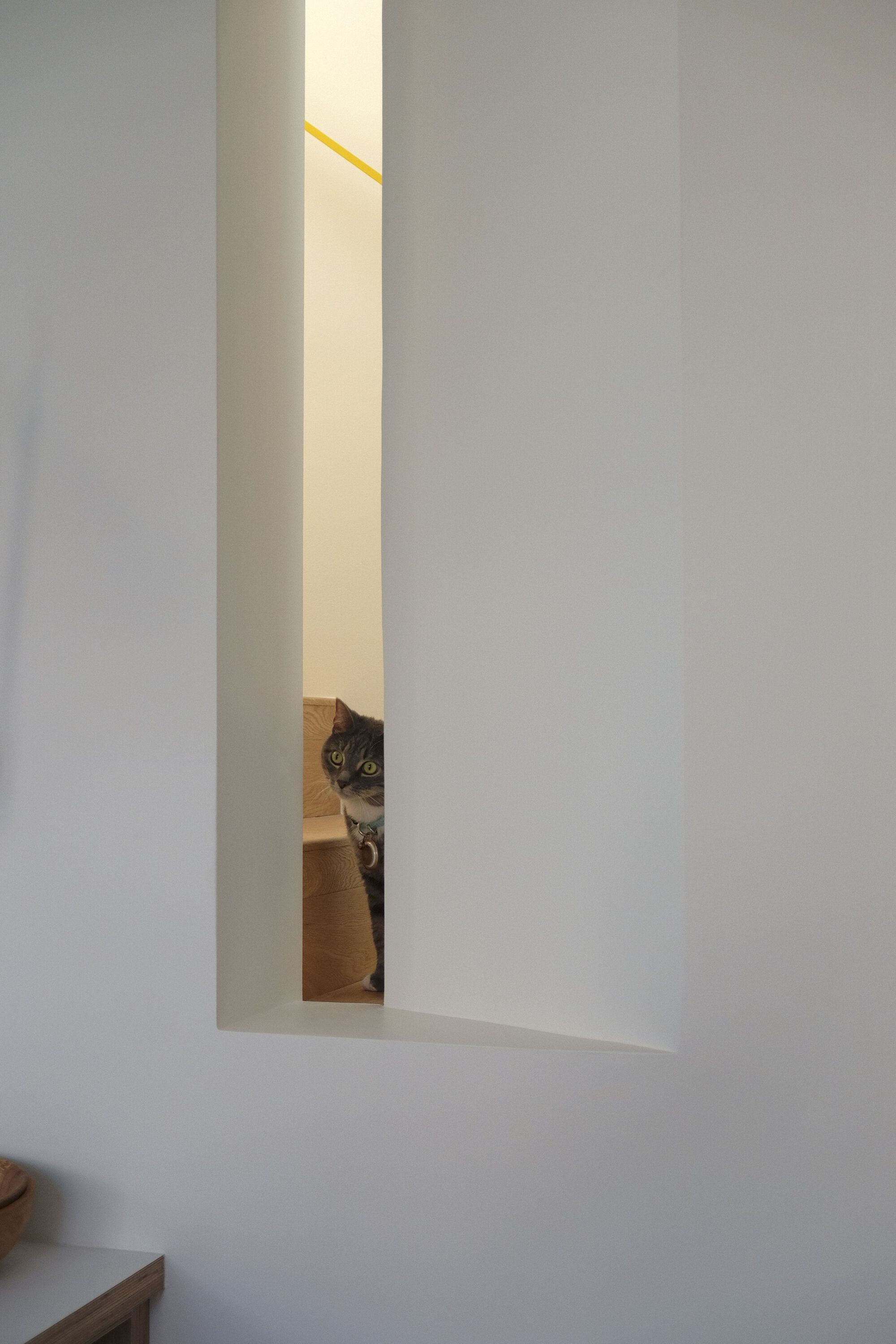 E44 巷道住宅丨加拿大温哥华丨Imu Chan Architecture-32