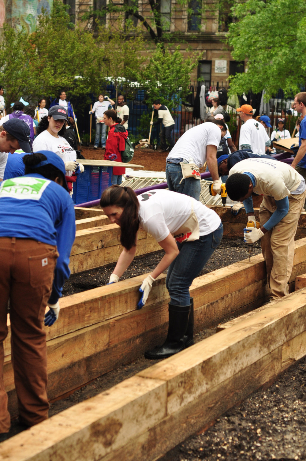 
          103rd Street Community Garden - SCAPE      -6