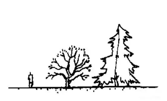 跟着大师西蒙兹学种植设计 | 景观设计师的终生目标和工作-92