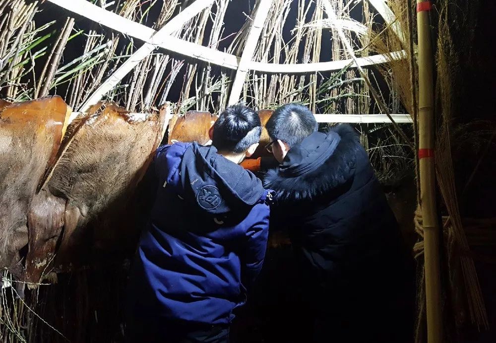 《诞·声》地景艺术 | 北京首届地景艺术节最佳寓意奖得主-34