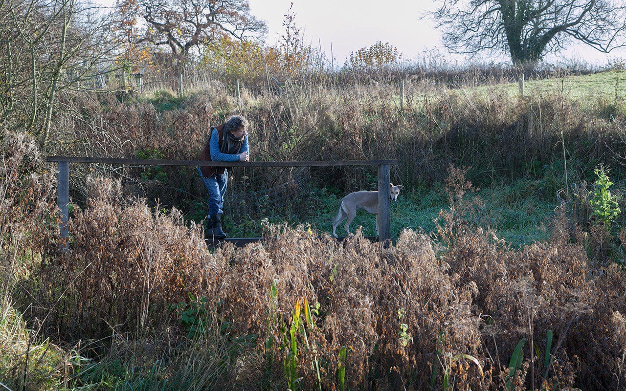 The Bridges相关花园景观项目-1