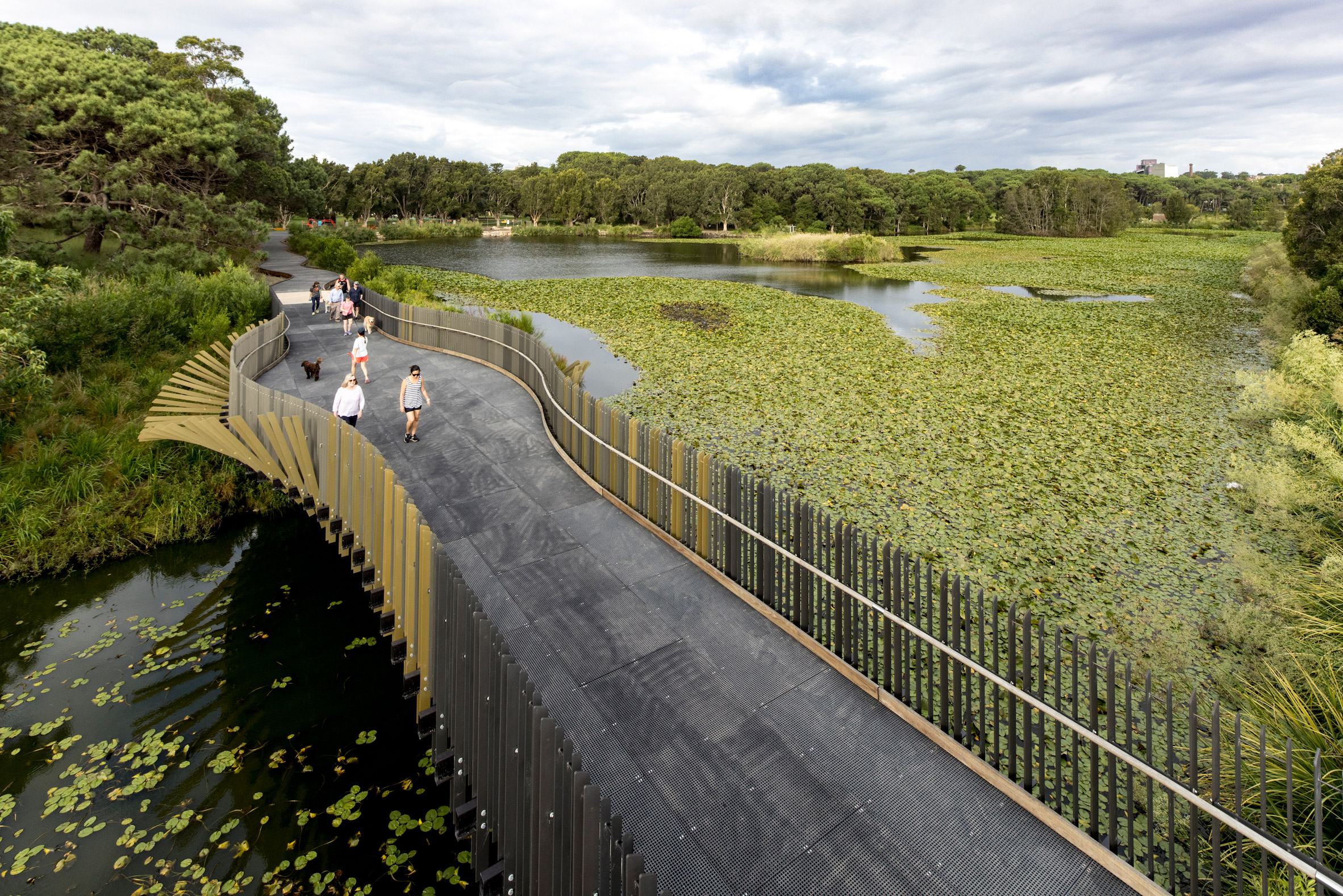 悉尼 Bara Bridge | 蜿蜒如鳗鲡的金属桥，重塑公园与本土文化的联系-18