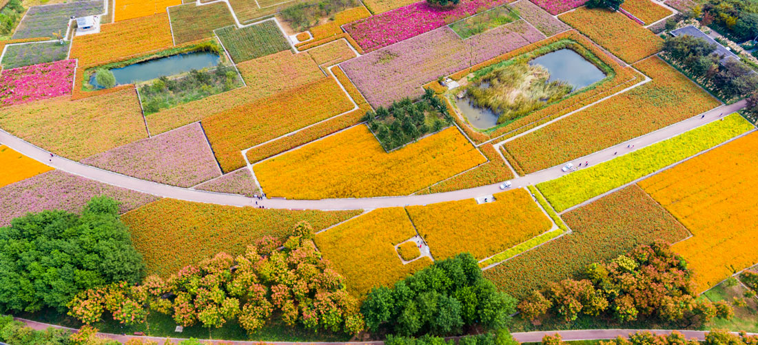 宿迁三台山花田织锦丨中国宿迁丨土人设计（Turenscape）-19