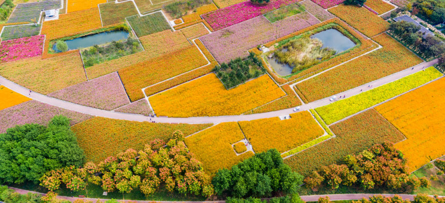 宿迁三台山花田织锦丨中国宿迁丨土人设计(Turenscape)-19