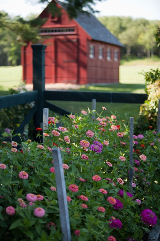 丨美国纽约丨Janice Parker Landscape Architects-13