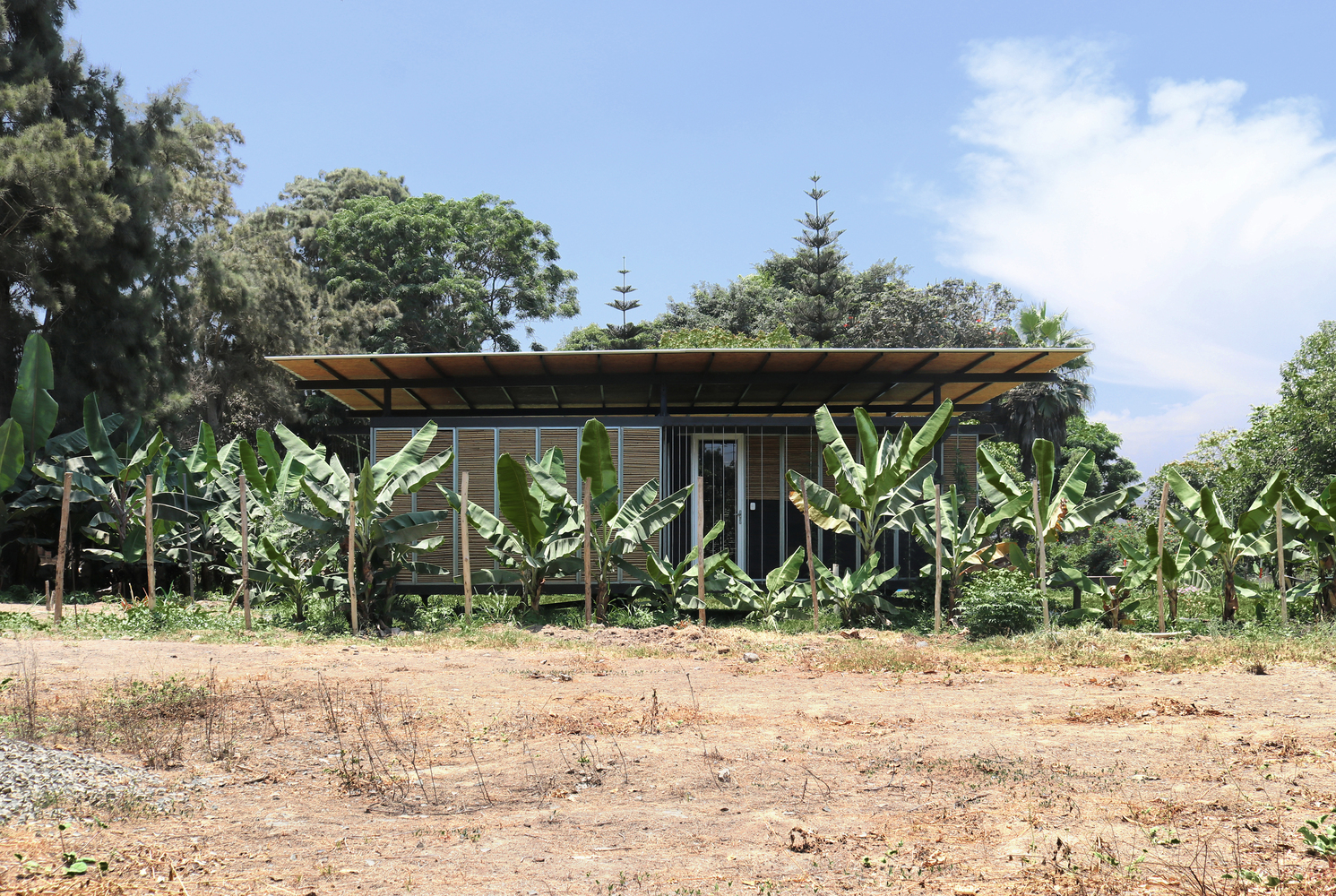 埃尔尼多保护区丨秘鲁利马-11