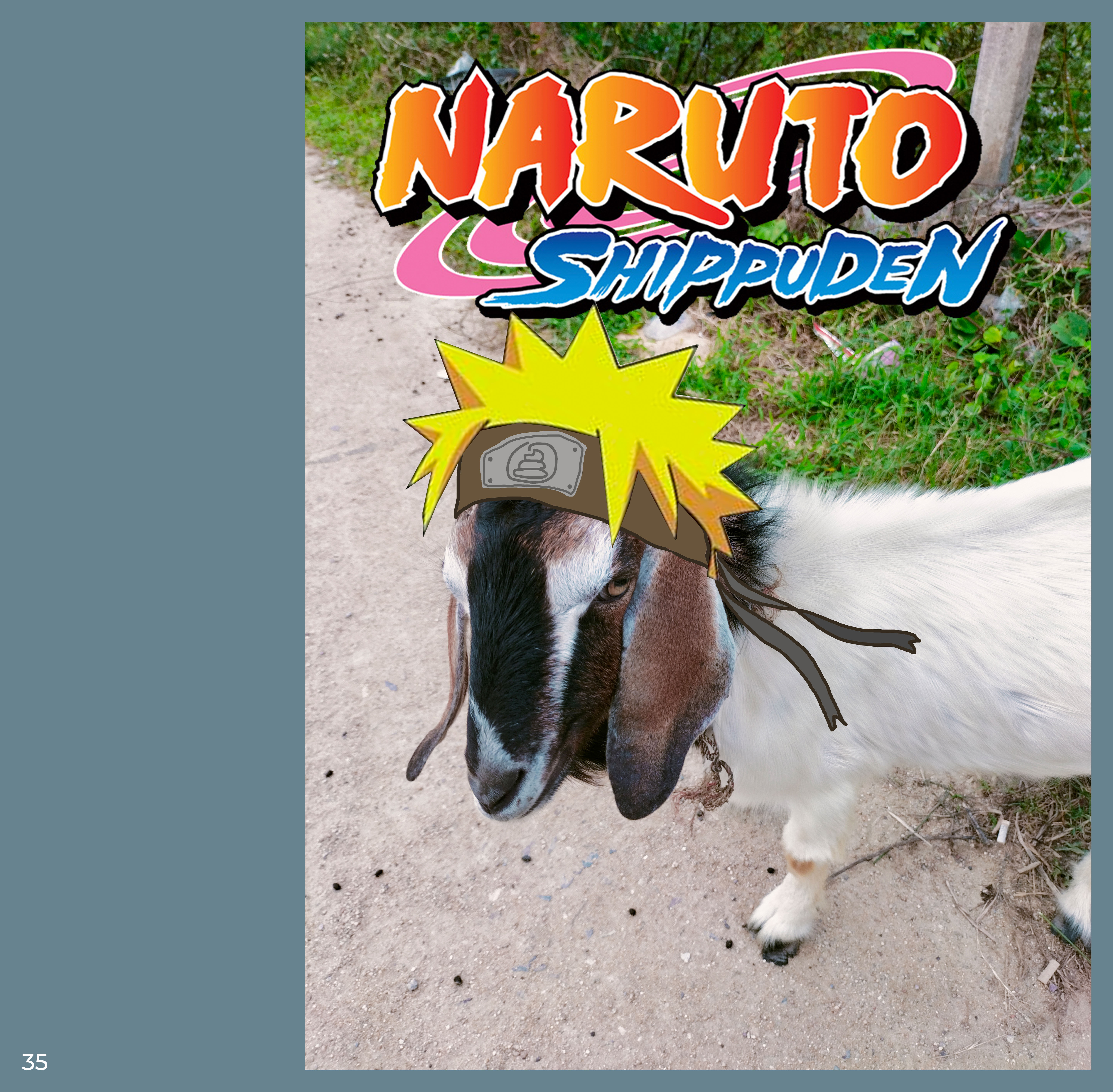 LÊN KÈO ĐI BIỂN-34