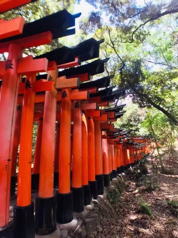 京都古韵 | 探秘日本传统文化象征之地-26