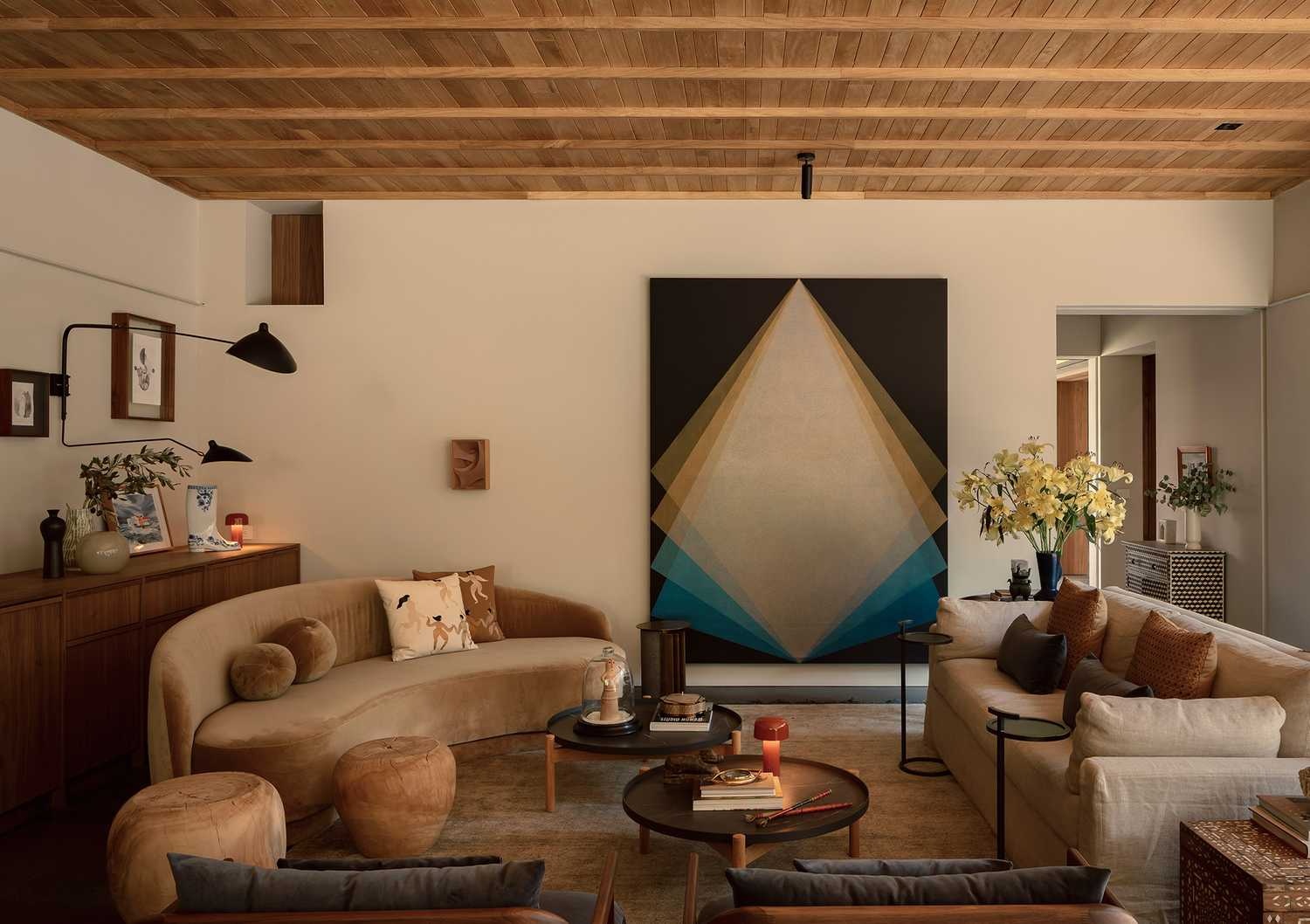 墨西哥CASA MOLUSCO PANTERA住宅-11