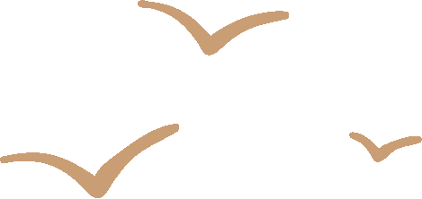 优秀项目部风采|守护红海沙漠生态:埃及风电项目的绿色实践-10