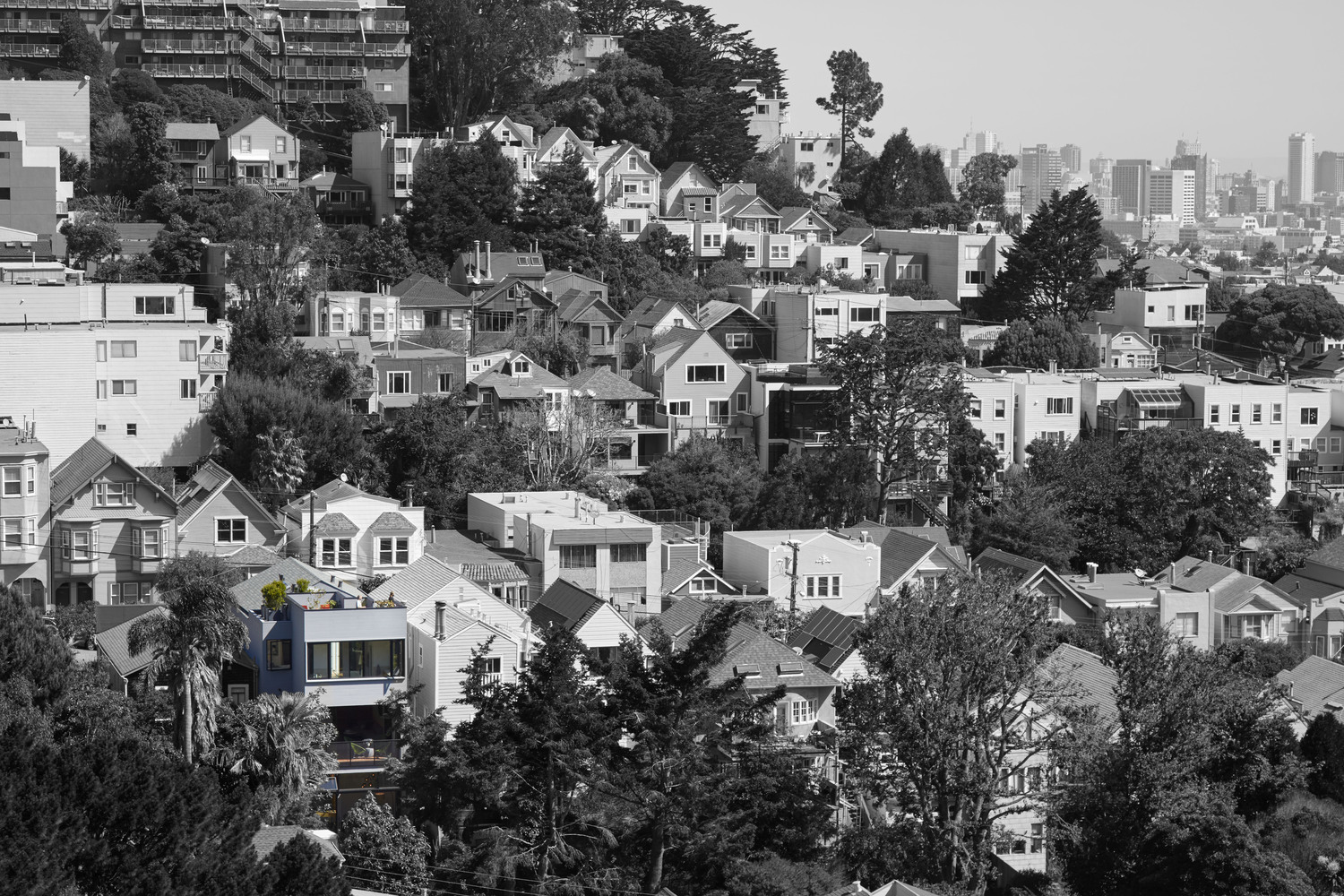 Schwartz and Architecture Designed a Multi level Urban Home in San Francisco-4
