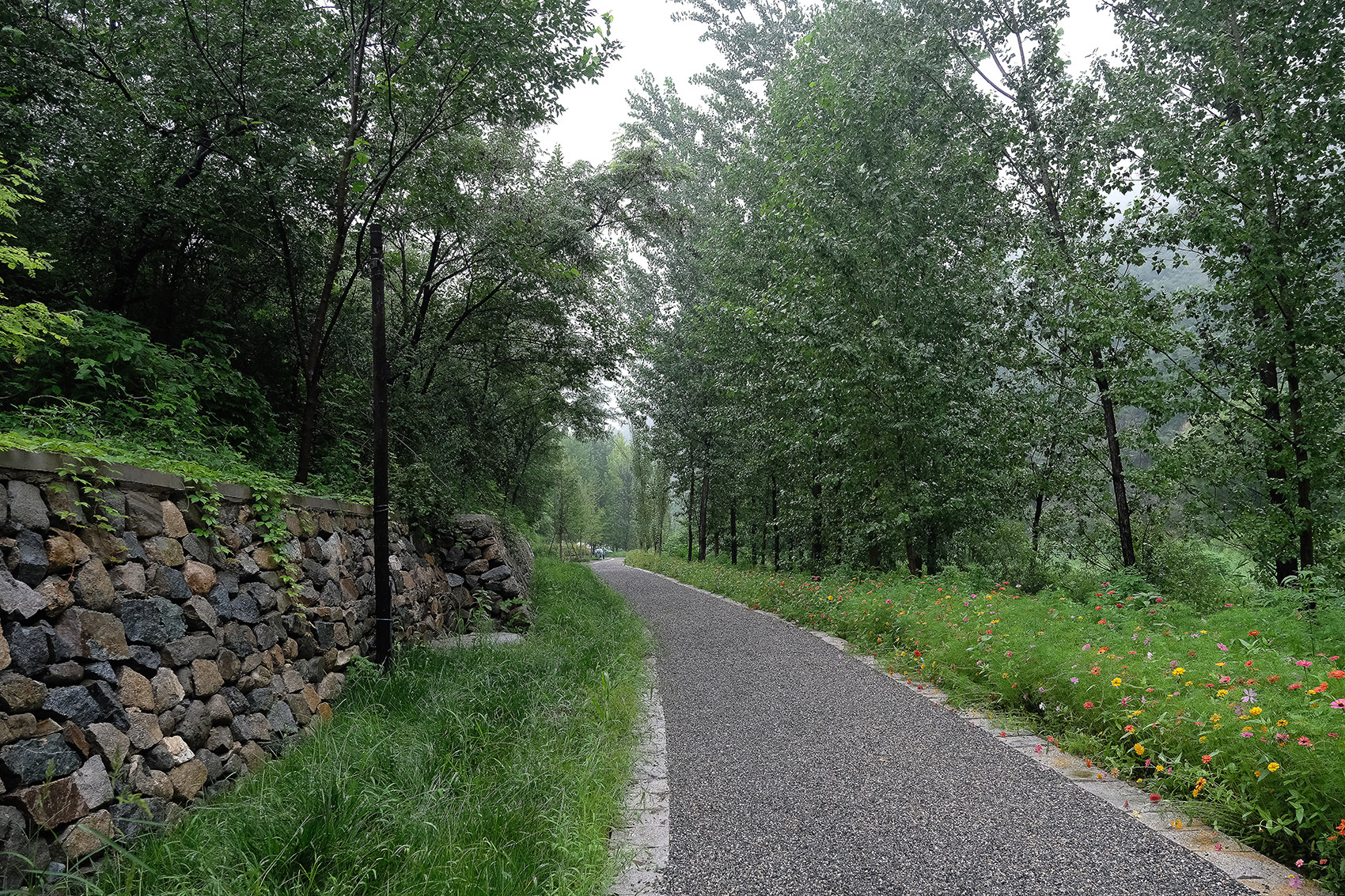 北京怀柔渤海镇栗花溪谷风景丨中国北京丨九源（北京）国际建筑顾问有限公司-32
