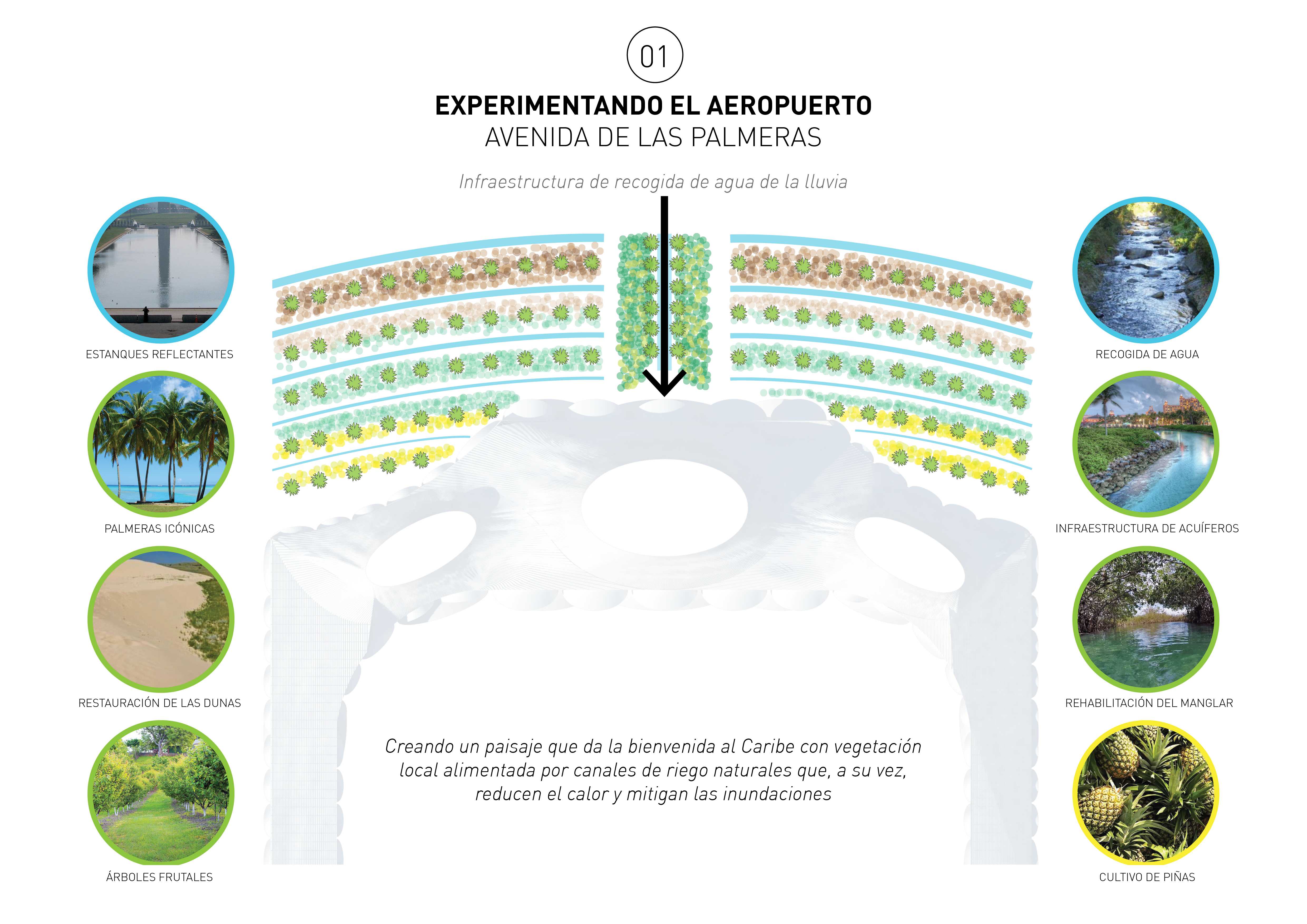 卡塔赫纳机场-6