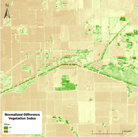 UIUC建筑大一惊艳课设！“几何动词+动态响应”打造共生建筑装置！-179