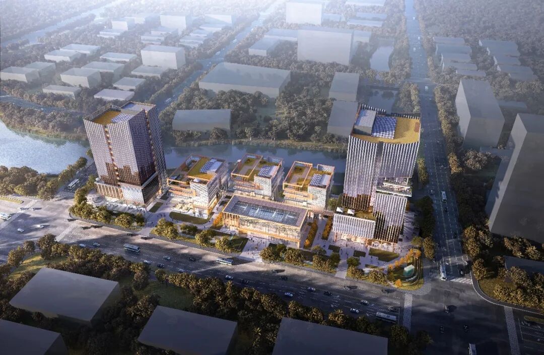 工程里程碑｜孙桥农业科创中心（张江种谷）奠基-21