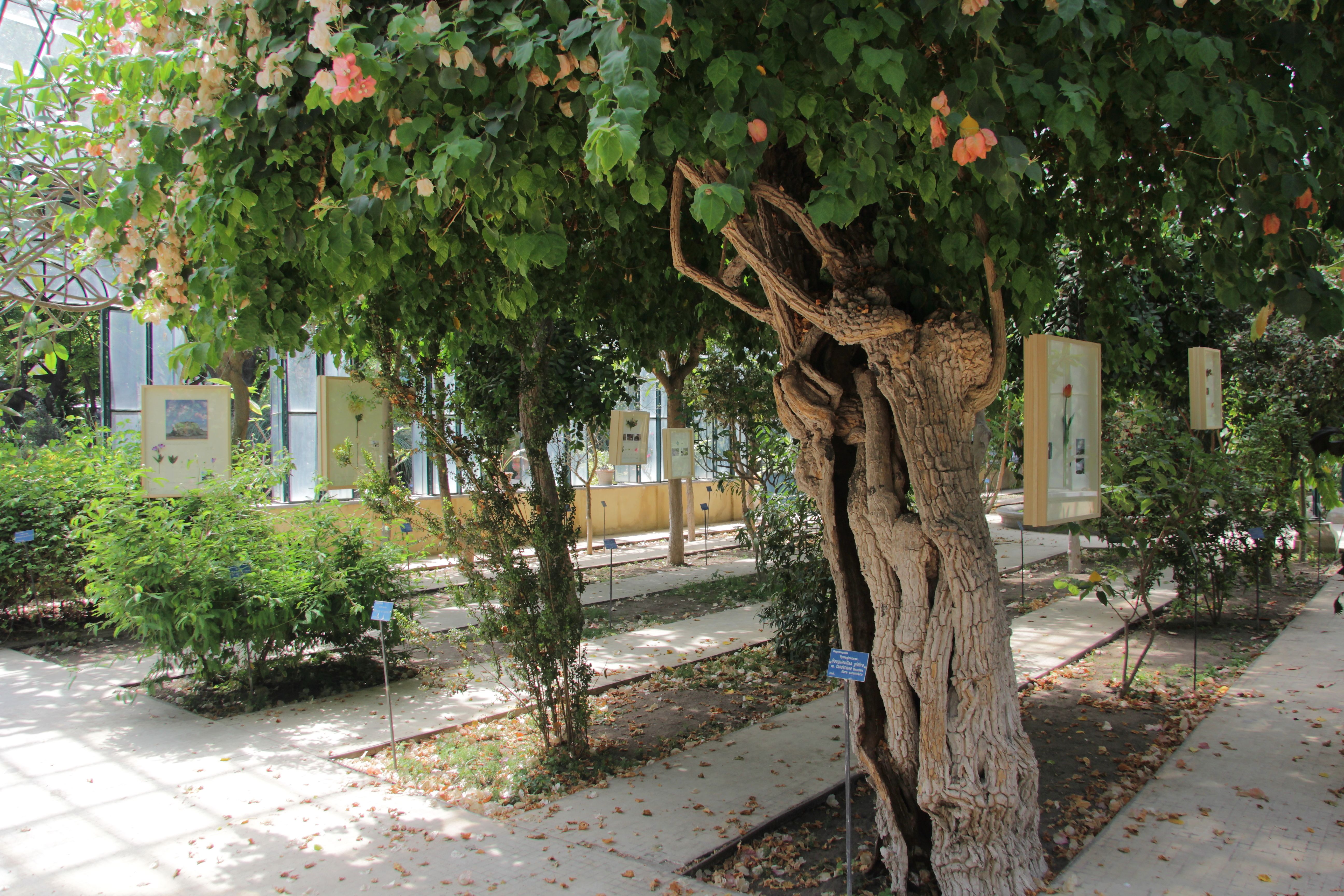 第十二届宣言展:行星花园:培育共存-29