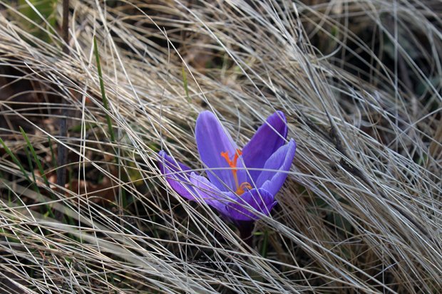 德普莱纳的小菜园丨德国柏林丨Büro Christian Meyer-0