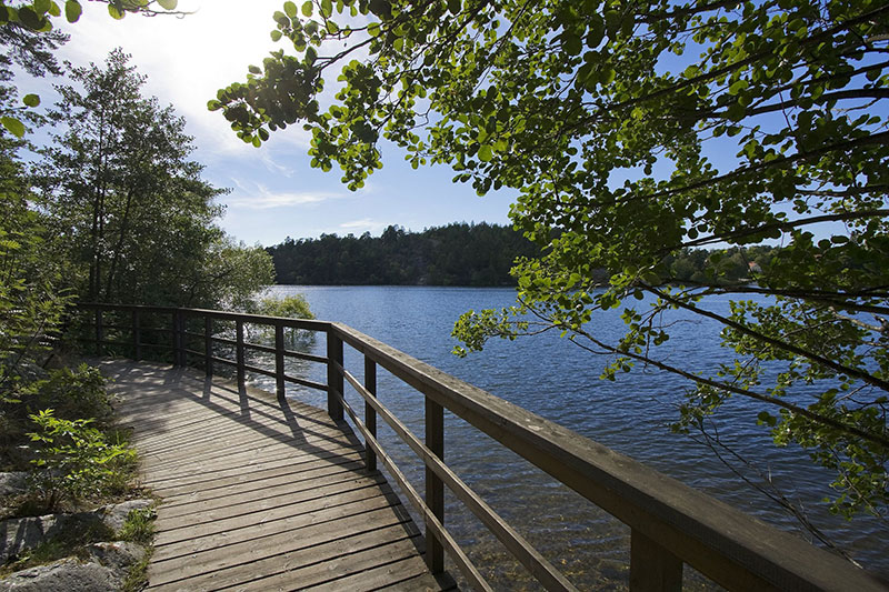 瑞典绿色乡村公寓 | 自然光与气的完美结合-21