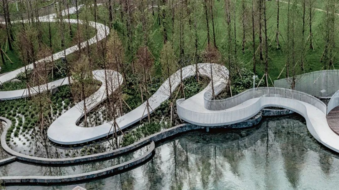 抚仙湖星空小镇 | 生态修复的人与自然和谐共生典范-70