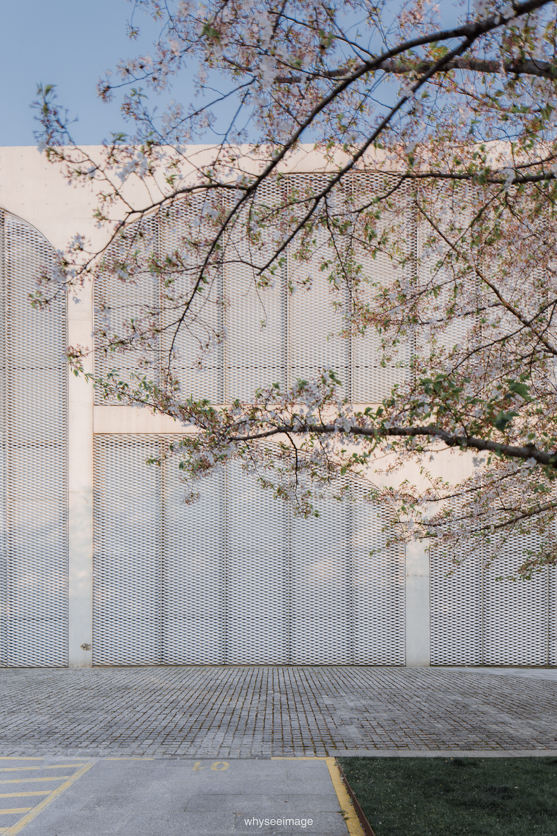 樱花+龙美术馆丨中国上海丨大舍建筑设计工作室-104