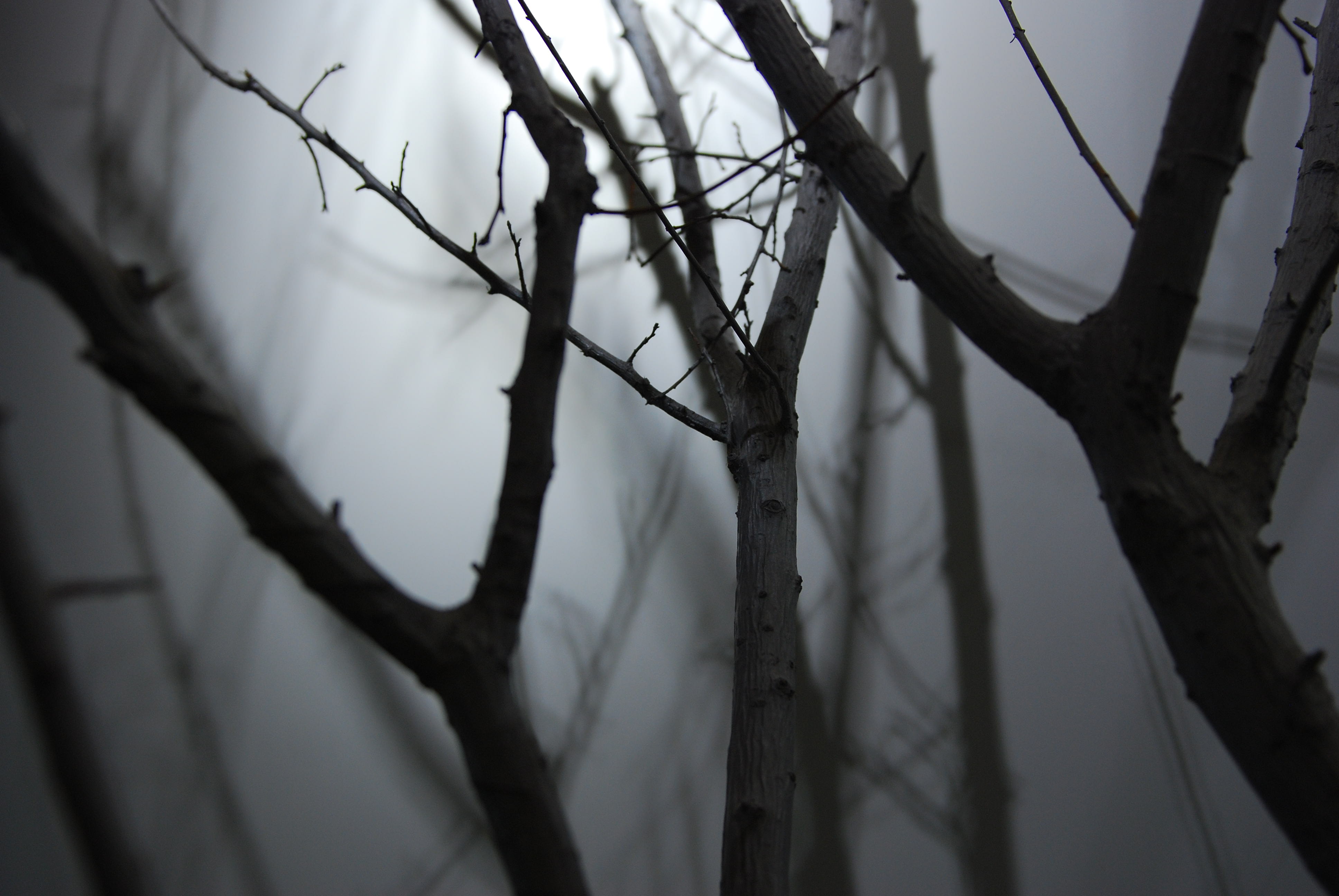 张林  （金典铭筑办公中心）-28