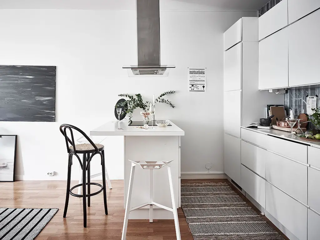 哥德堡一室一厅开放式厨房公寓设计-12