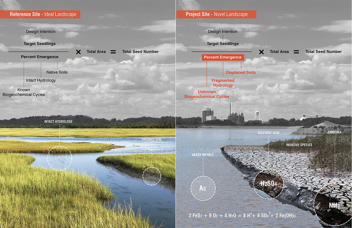 播种特异性 · 新型生态系统的种植材料和方法丨马里丨Mahan Rykiel Associates-0