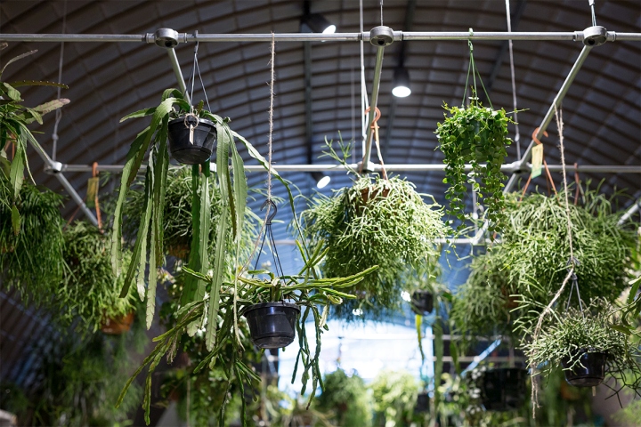 伦敦 Deptford Market Yard 的 Forest 商店，自然与现代的碰撞-26