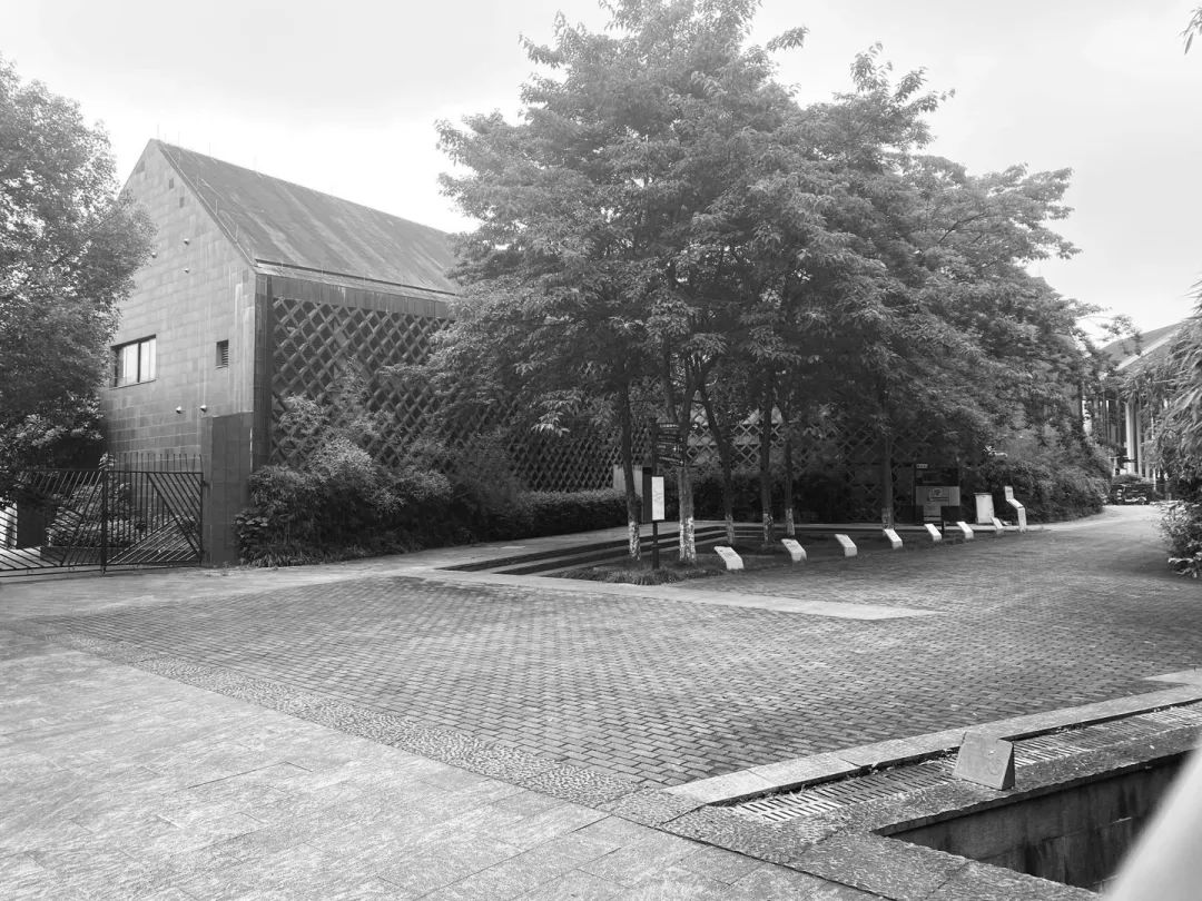 从玉鸟流苏到未来社区 | 良渚玉鸟流苏商业街改造-48