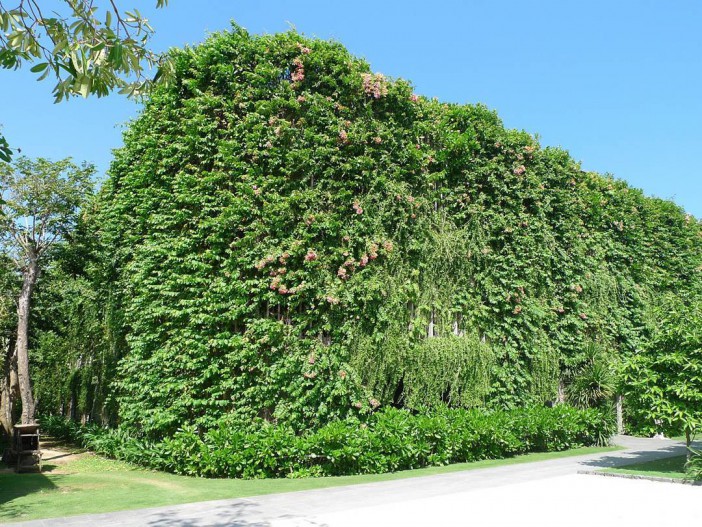 Naman The Babylon | VTN3-1