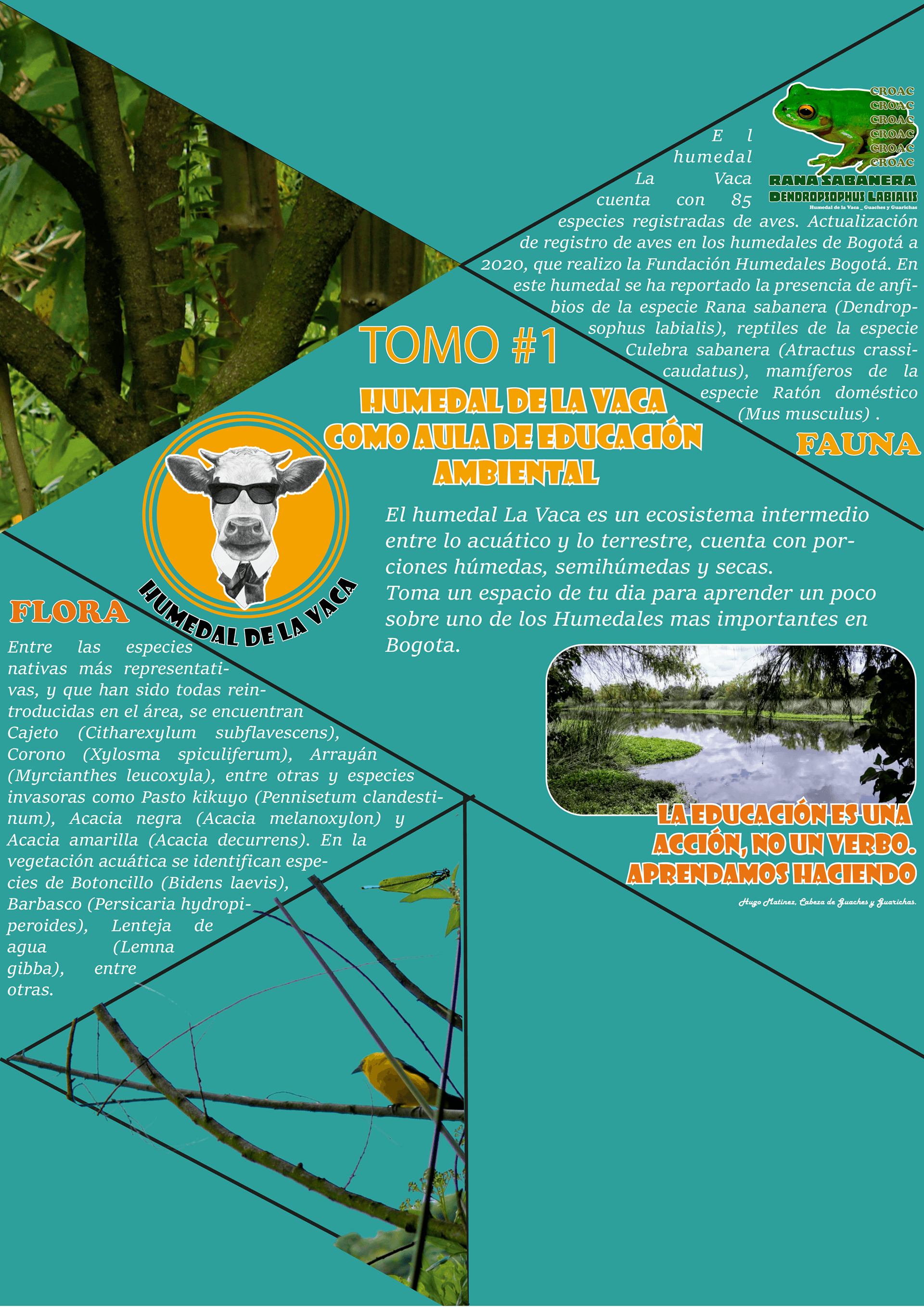 瓜奇斯和瓜里查斯丨ANA LOPEZ ORTEGO-10