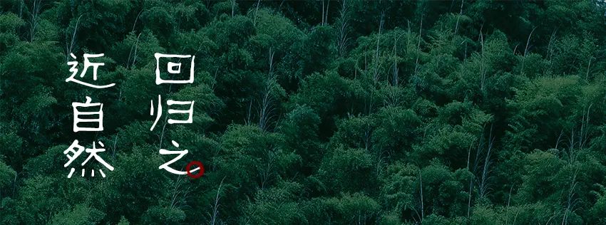 贵阳融创·云麓长林 | 自然之约,心灵之旅-9