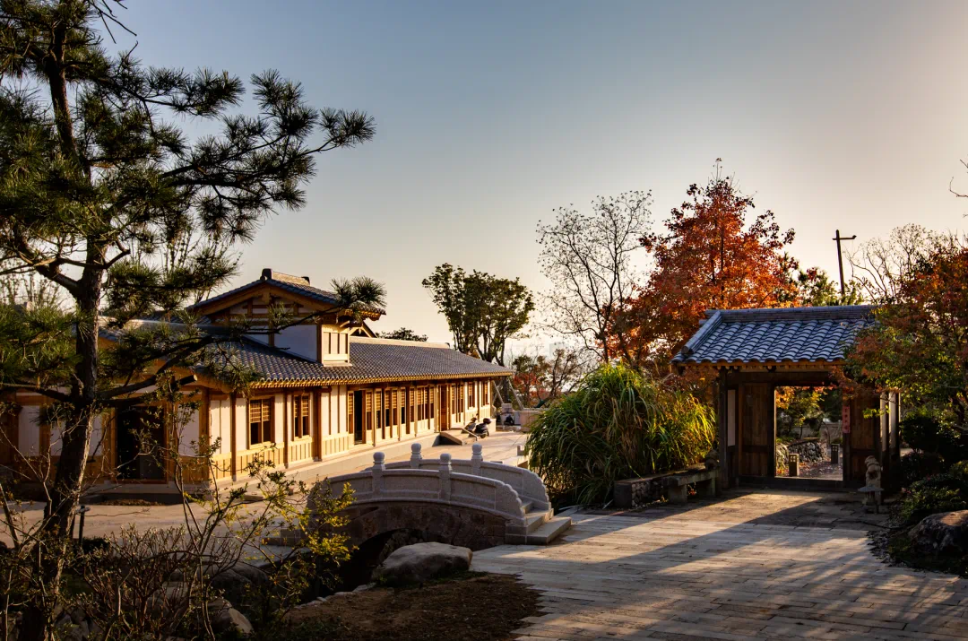 2025年国内50家重磅酒店丨中国上海丨Moinard Bētaille-118