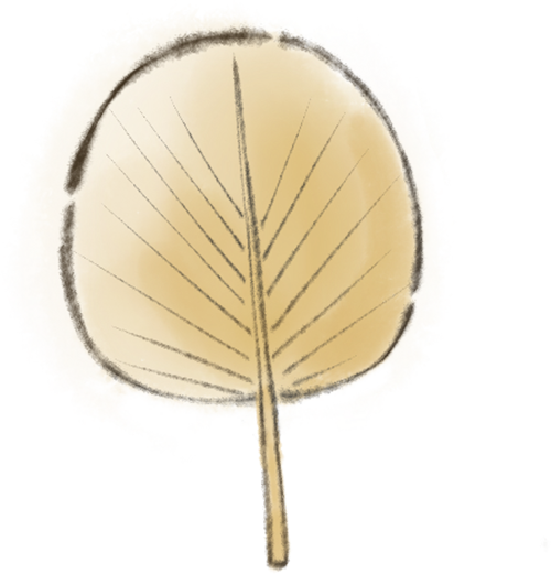 宋江菜市｜打造特色菜市IP，感受烟火里的江湖味！-13