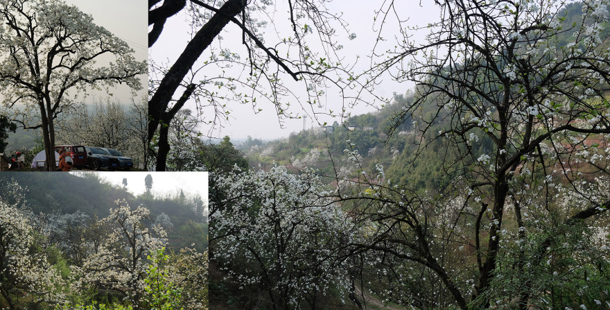 不在山林·山谷石窑丨中国泸州丨小隐建筑事务所-7