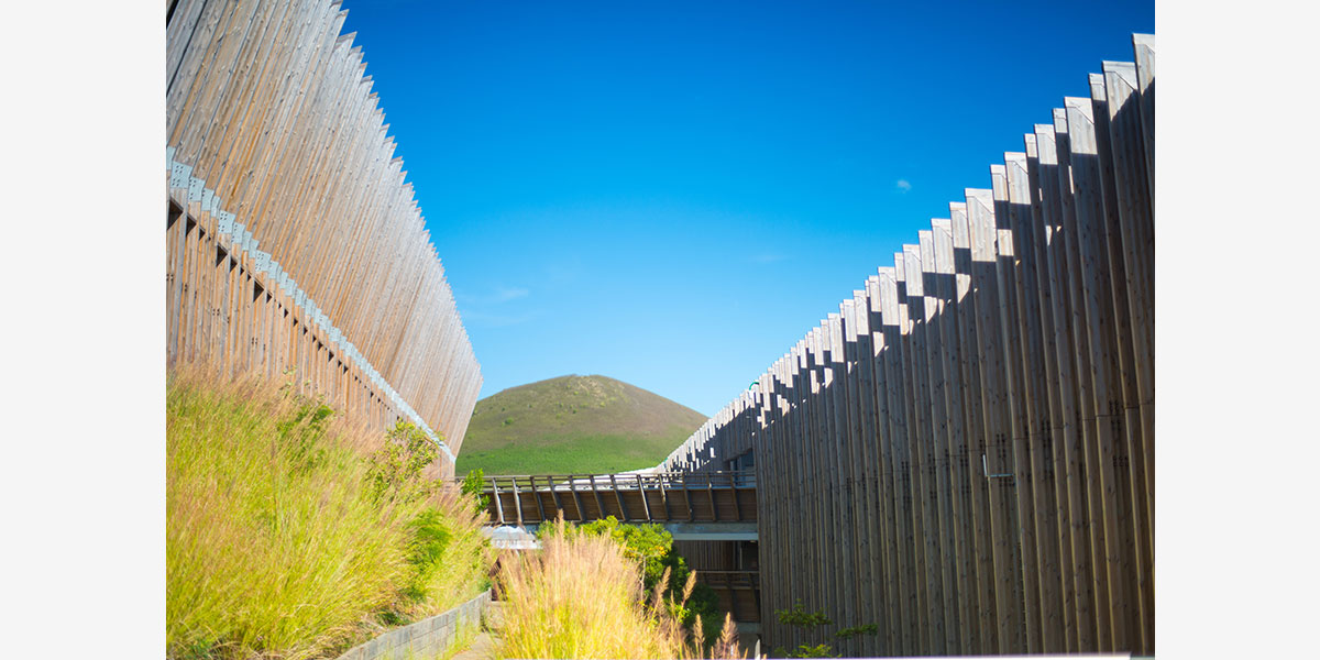 丨CoCo architecture等多家-30