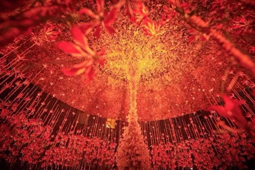 2019 西湖花园节创意花园设计亮点解读-165