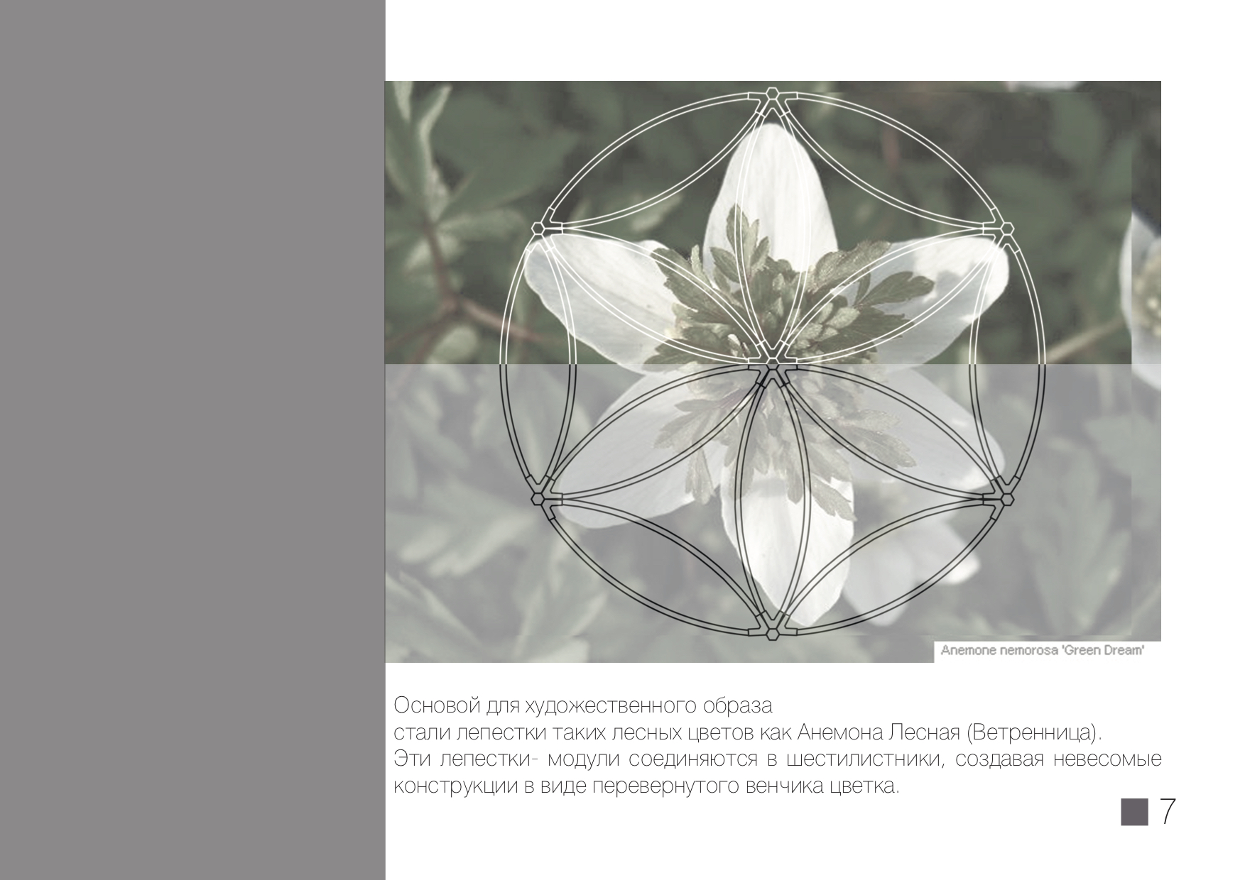 MODULAR EQUIPMENT OF RECREATION ZONES-2