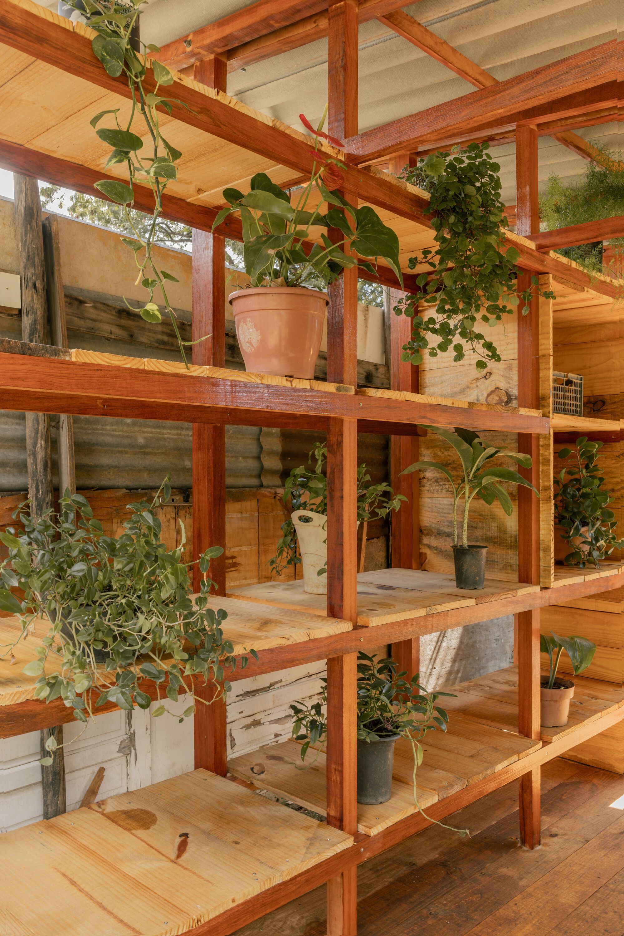 生态箱种子屋丨巴西丨PFLEX Escola de Arquitetura UFMG-19