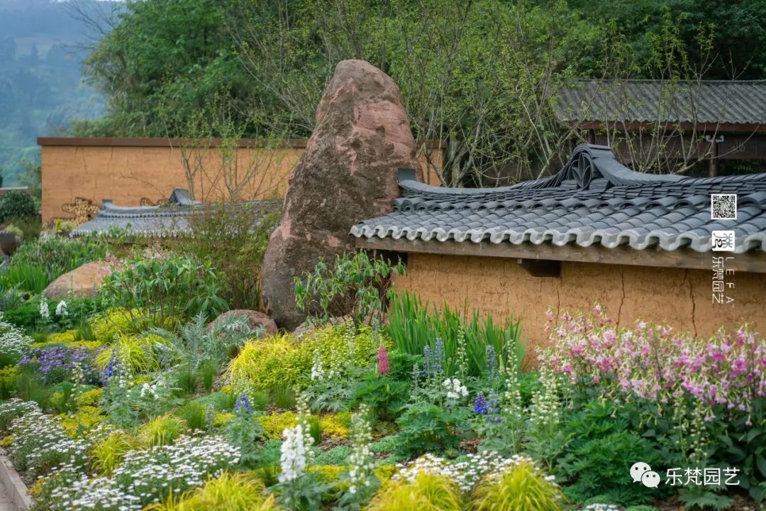 丹棱春色 · 古韵新颜,漫山幸福花开丨中国眉山丨乐梵-12