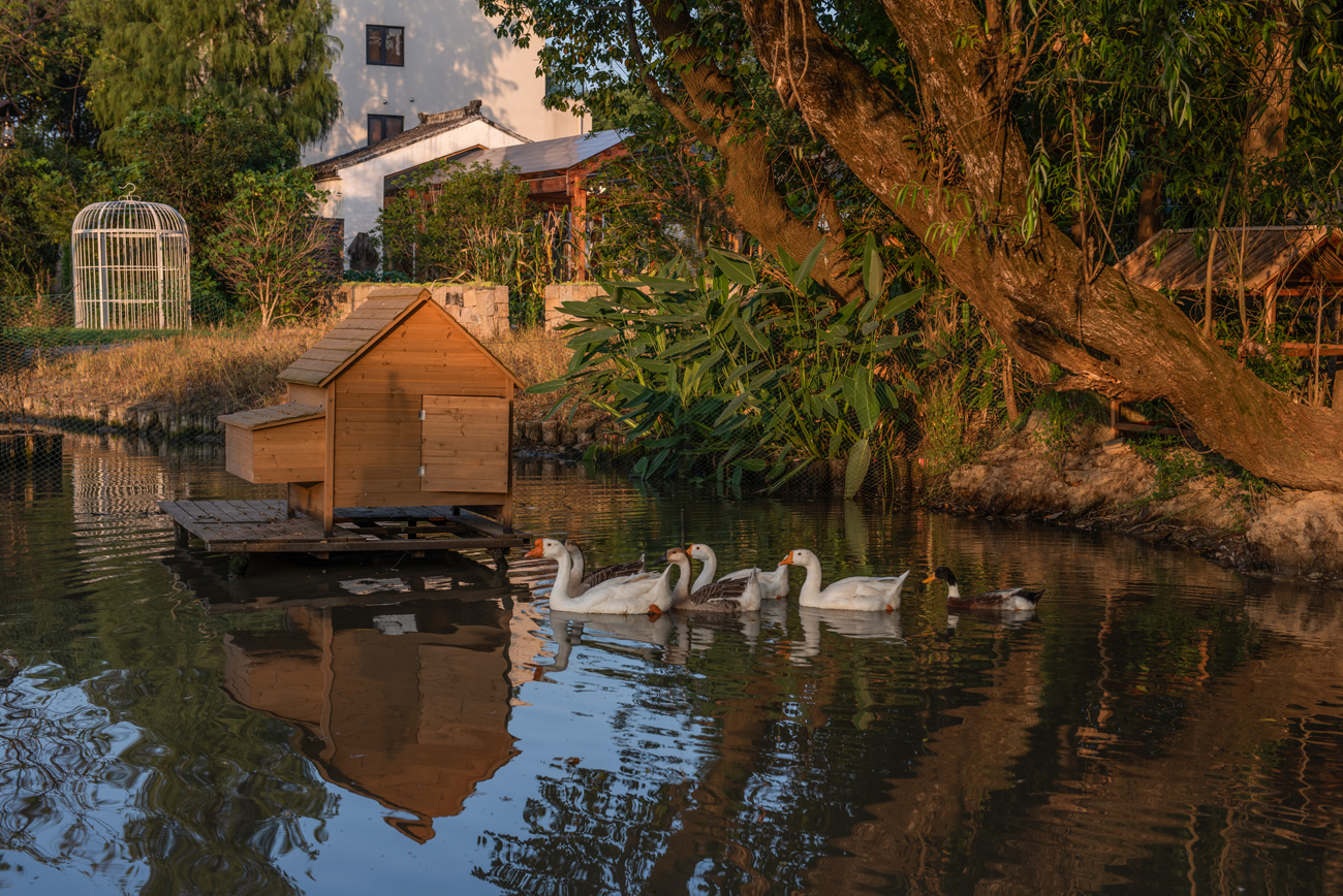 白相里·绿水人家-54
