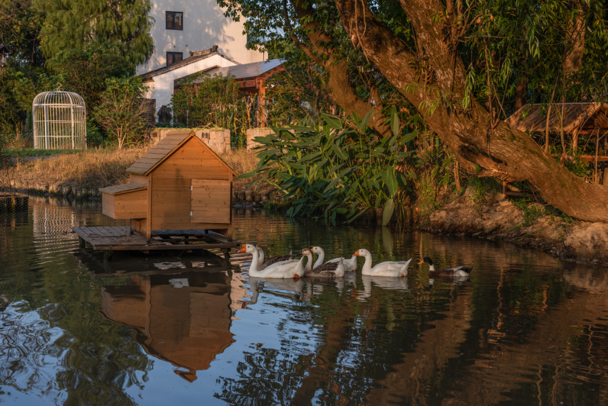 白相里·绿水人家-54