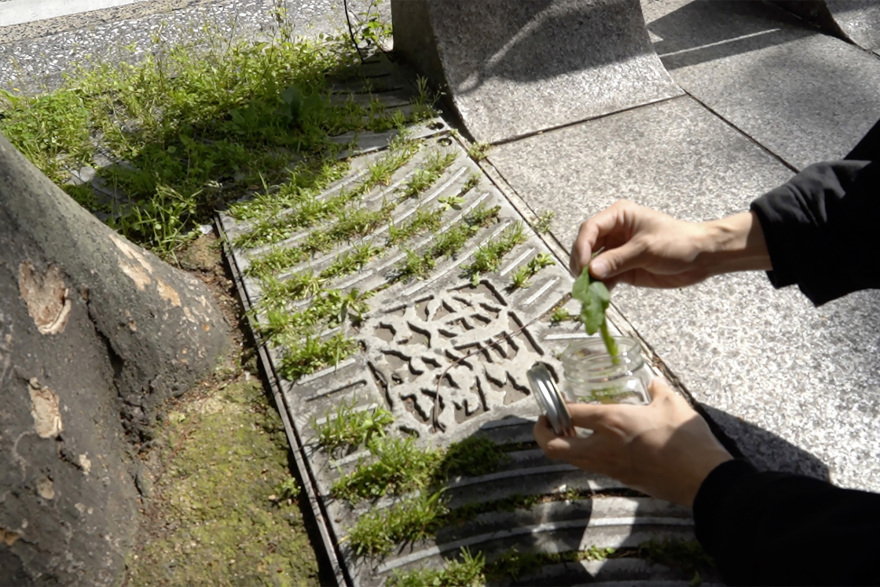 银座生态地图丨JapanTokyo丨Hakuten Corporation-20