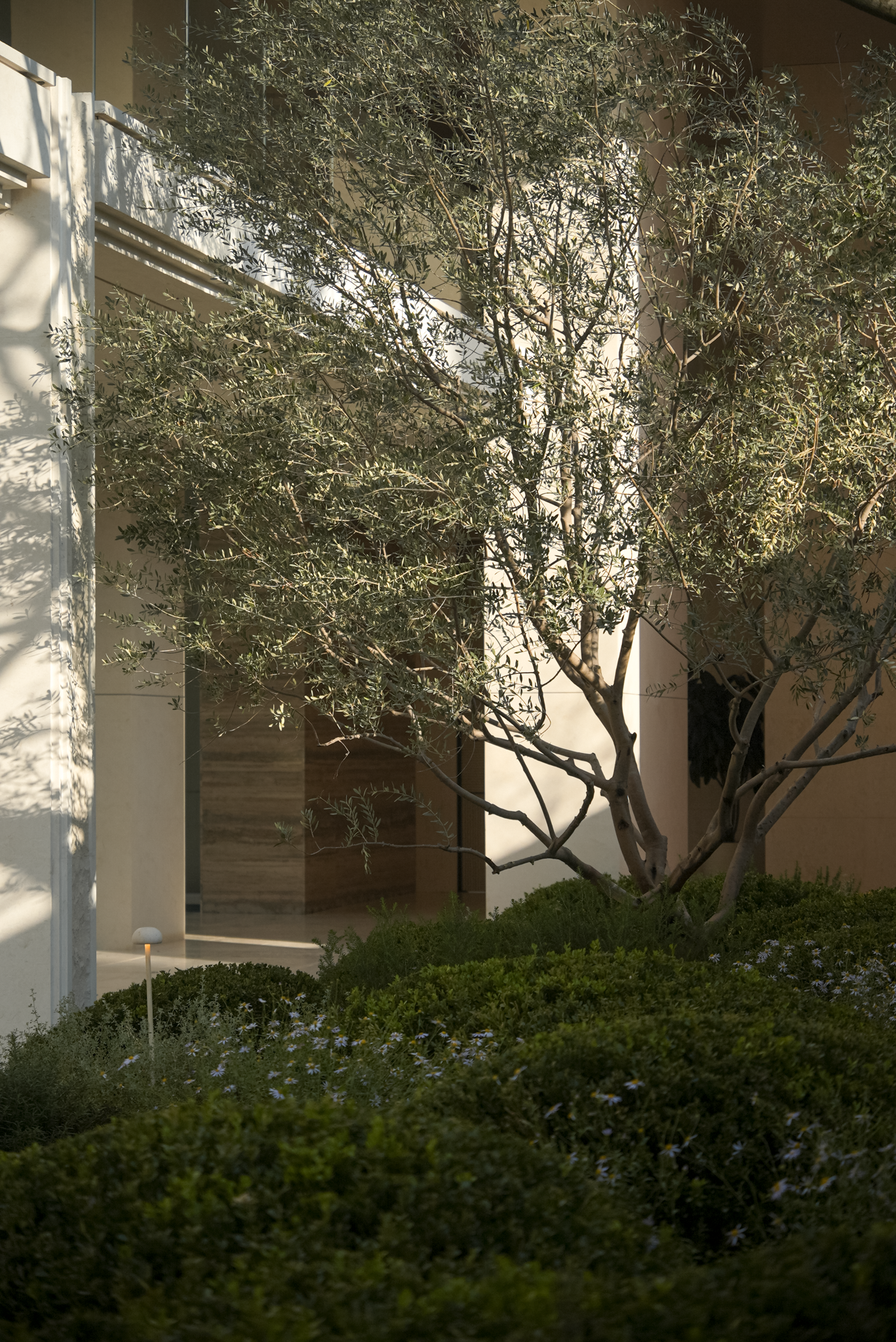 中天海威·璟逸丨中国杭州丨成都麦微景观建筑事务所等多家单位-107