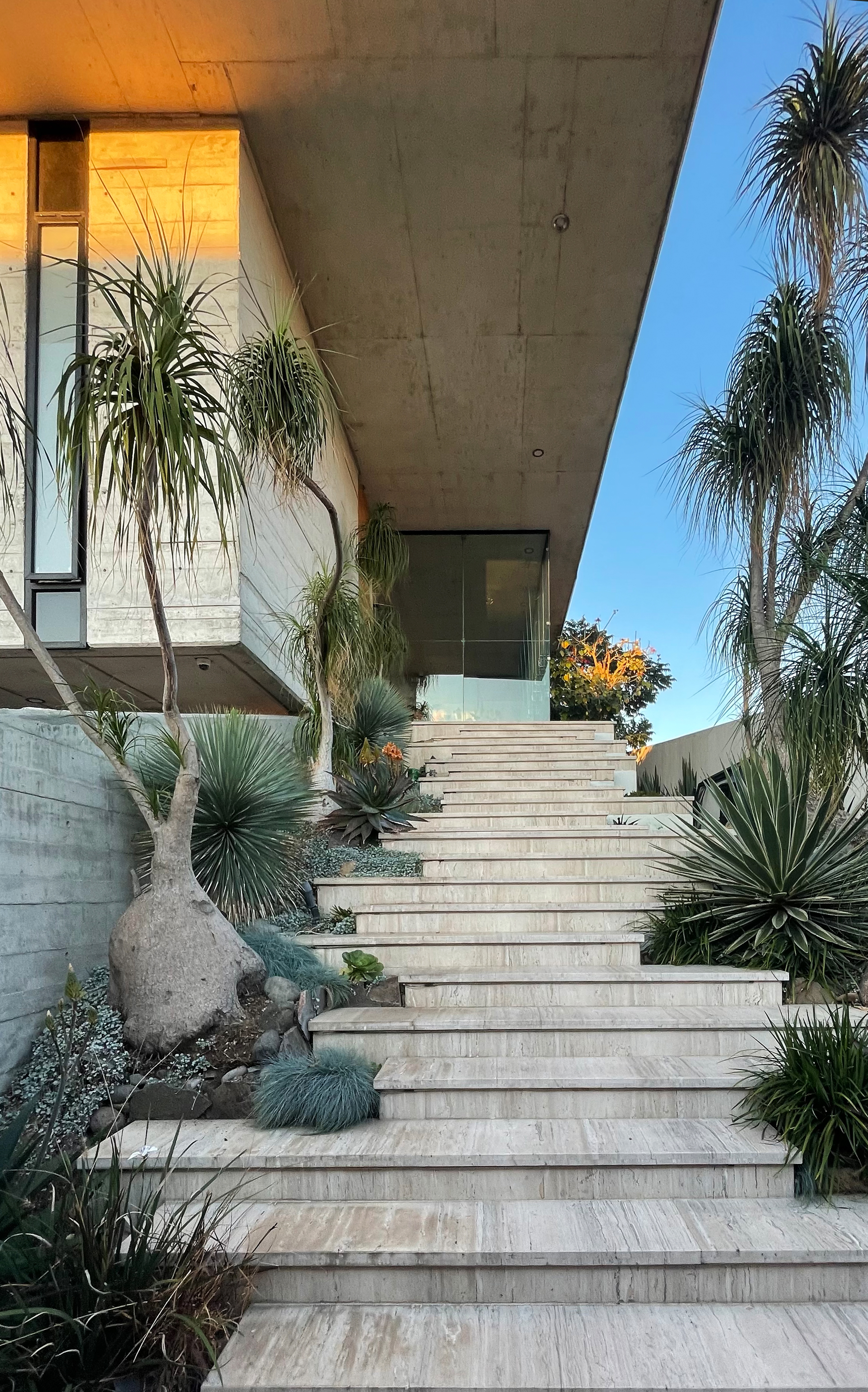 阿亚蒙特之家丨Andres Burguete-15