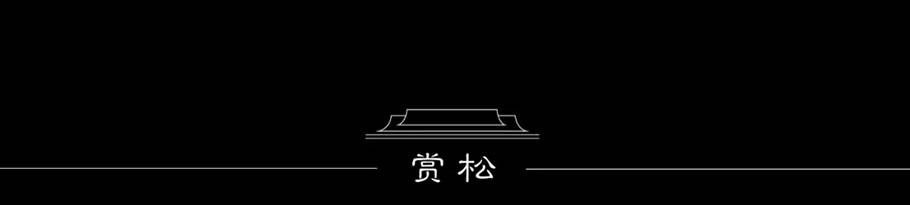 长沙兴进珺府丨中国长沙丨MBDI 英斯佛朗山分景观-27