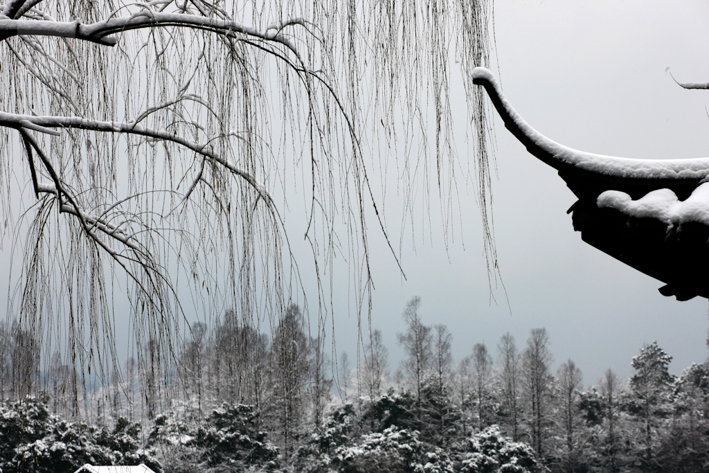 苏绣之韵·SIT Suzhou 办公空间设计-3