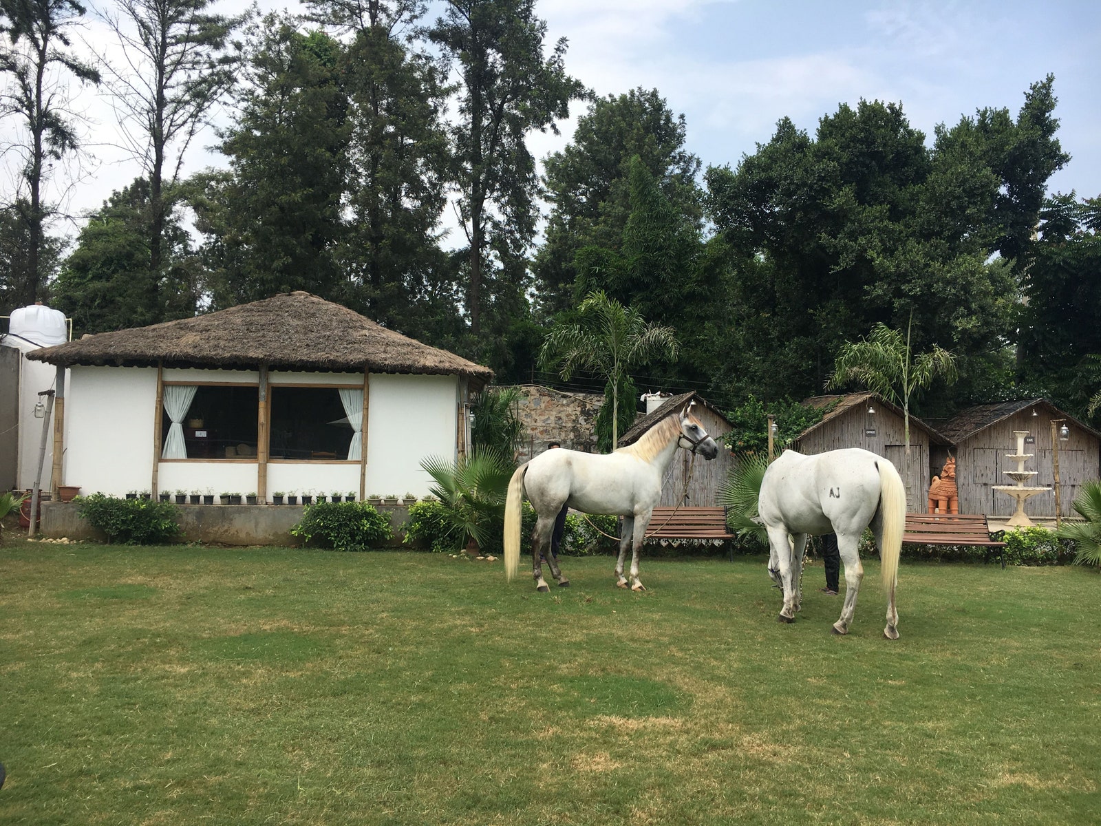 探索全球特色农场度假屋，告别城市生活-20